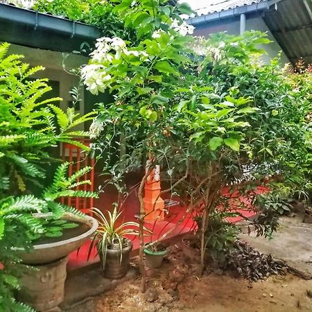 Senith Guest House ميريسا المظهر الخارجي الصورة