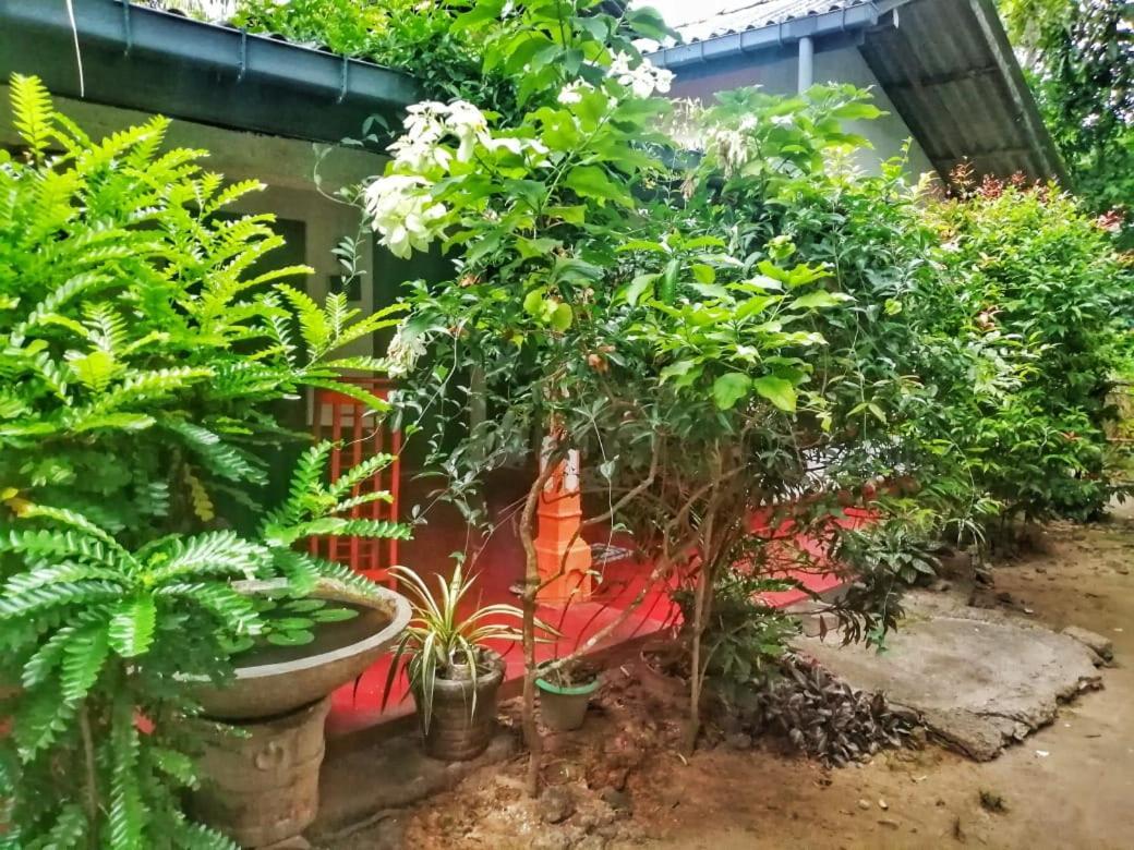 Senith Guest House ميريسا المظهر الخارجي الصورة