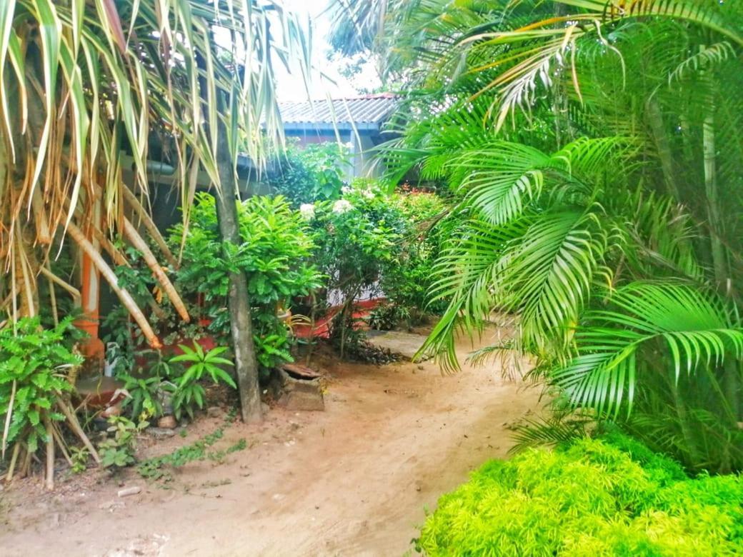 Senith Guest House ميريسا المظهر الخارجي الصورة